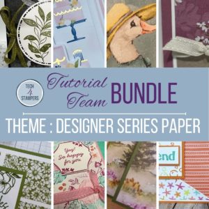 Card Tutorial Bundle - Designer Series Paper (DSP)