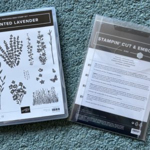 Stamp Set & Die Bundle - Painted Lavender