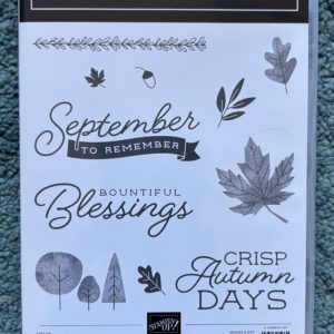 Stamp Set - Autumn To Remember