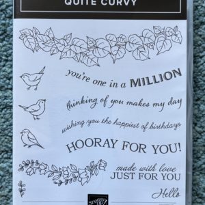 Stamp Set - Quite Curvy