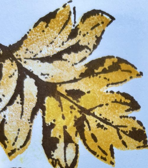 Card Project – Thank You