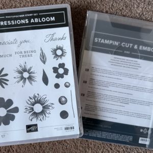 Stamp Set & Die Bundle - Impressions Abloom