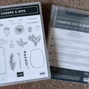 Stamp Set & Die Bundle - Cheers & Sips