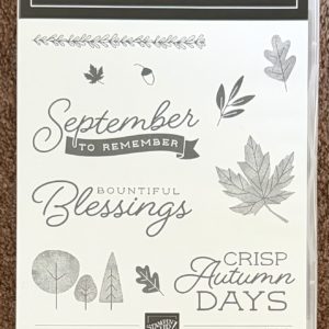 Stamp Set - Autumn To Remember