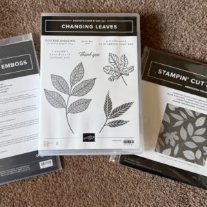 Stamp Set & Die & Embossing Folder Bundle - Changing Leaves